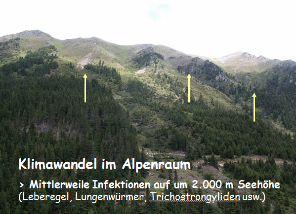Klimawandel im Alpenraum