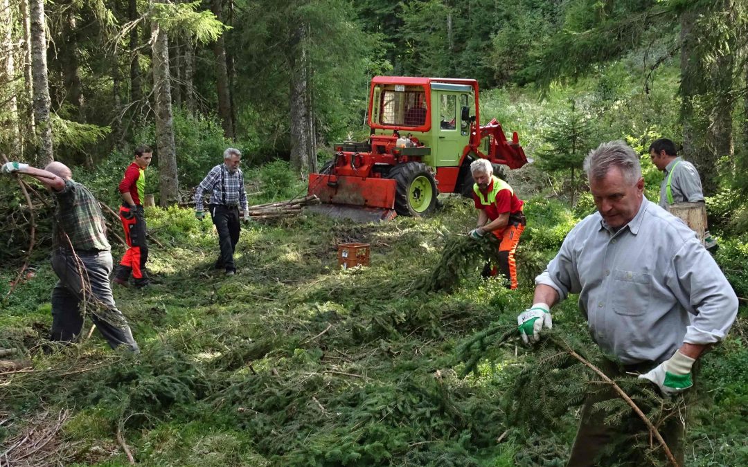 Umsetzung von Biotop-Hegemaßnahmen in Hinterzarten nach Förderung durch die Stiftung Feld, Wald und Flur